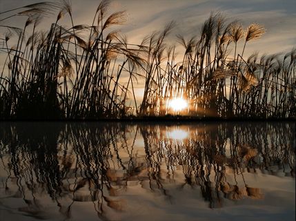 镜像，水，几点思考，江，湖，波，蓝色