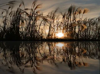 镜像，水，几点思考，江，湖，波，蓝色