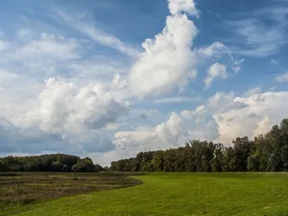 景观，草地，多云，云，绿色