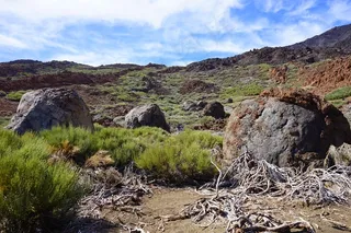 熔岩，岩，玄武岩，径，路径，泰德峰