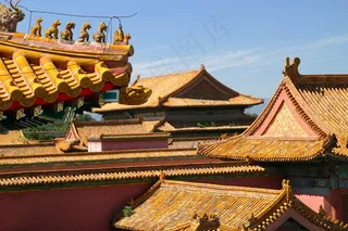 屋顶，中国，龙，故宫，建筑