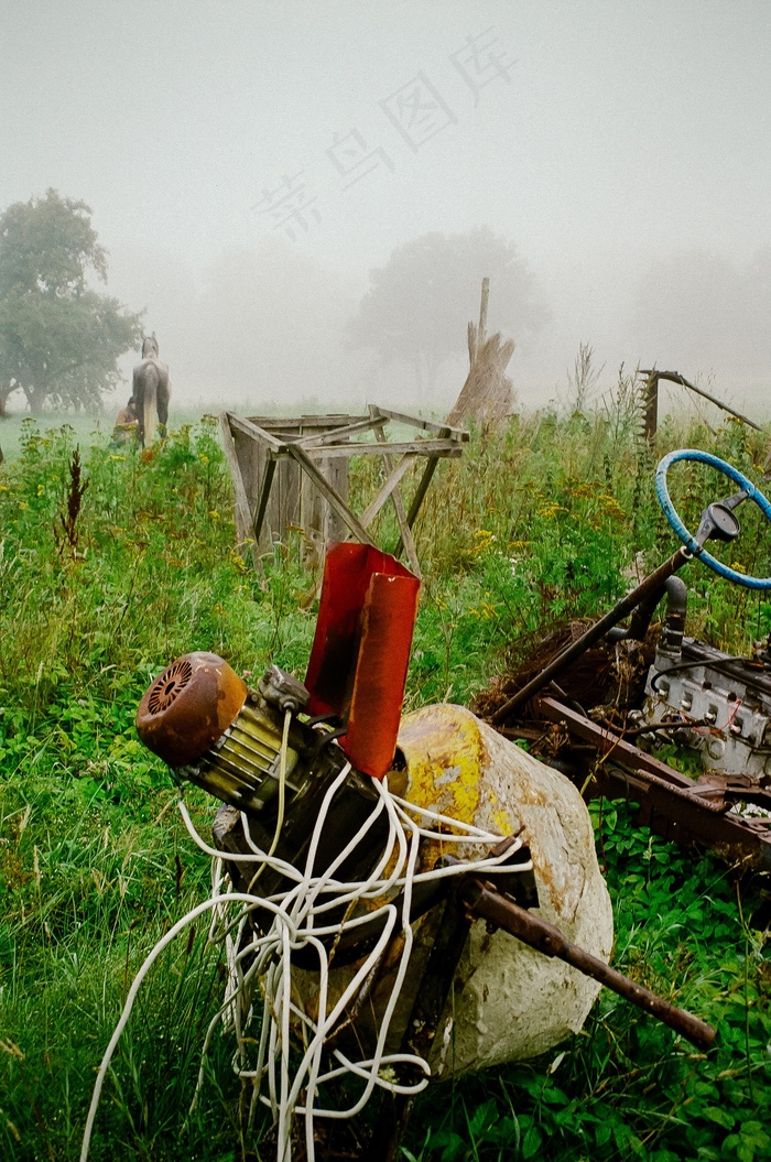 盆栽植物,花卉,电线,树,铲,领域的老马达