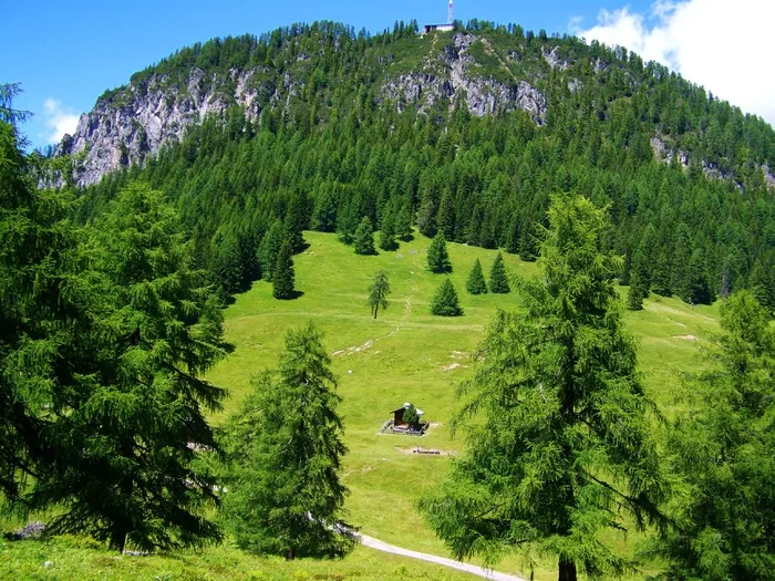 高山，田园，牧场