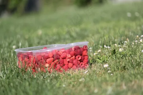 覆盆子，水果，美味，甜，成熟，浆果