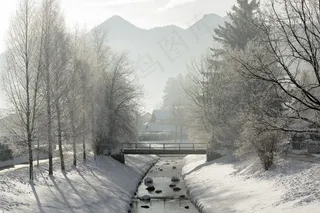 风景，冬季，雪，寒冬，白，雪域