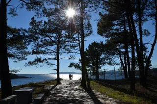 背光，剪影，心情，自然，浪漫，水