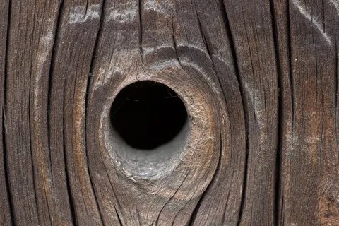 背景，木材，旧，结构