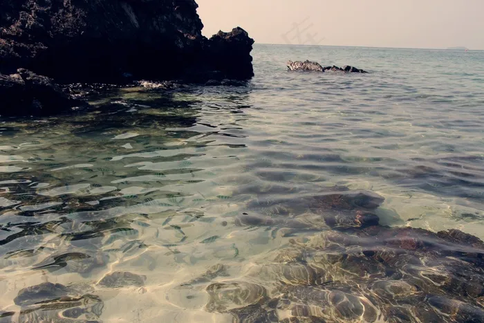 海水，鱼，风景