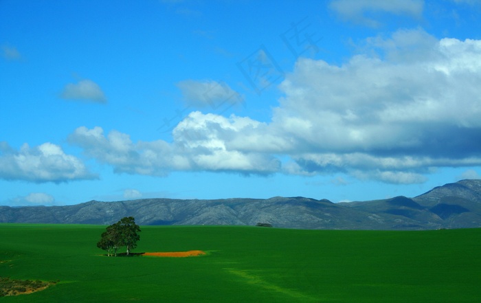 树，寂寞，草，山，农村，景观