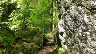 阿尔高，Pfronten Kappel，Hoellschlucht，森林，岩石