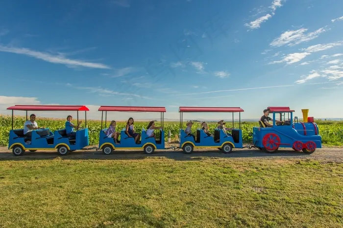 玉米，火车，乘车，农业，农业，植物，领域