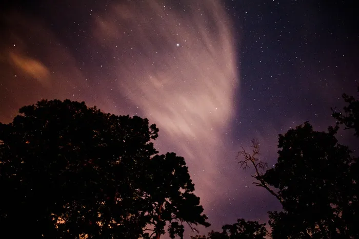 夜空，树，侧影，星星，夜