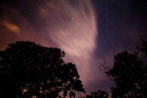 夜空,树,侧影,星星,夜 夜空,树,侧影,星星,夜