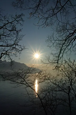 湖，日内瓦，瑞士，日落，水，蒙特勒，太阳