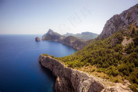 海岸,悬崖,森林,景观,自然,野,自然 海岸,悬崖,森林,景观,自然,野,自然