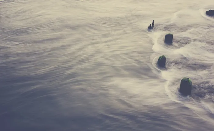 波兰人，水，烂，老，风化，议案，流