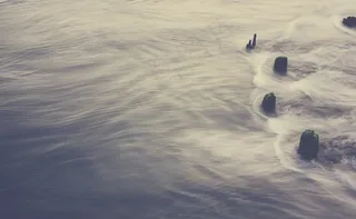 波兰人，水，烂，老，风化，议案，流