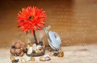 花，塑胶花，织物花，开花，盛开