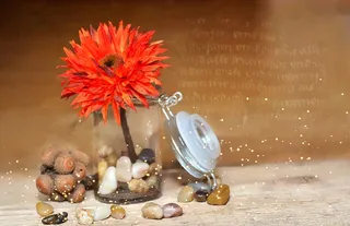 花，塑胶花，织物花，开花，盛开