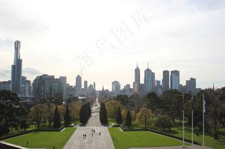 城市，天际线，大道，绿化，树林，树木，草坪