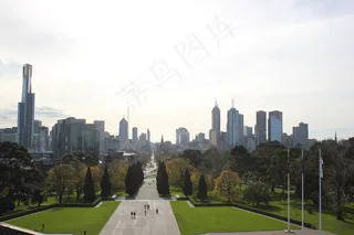 城市，天际线，大道，绿化，树林，树木，草坪