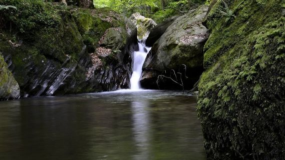 奥地利，施蒂里亚州，Teigitsch，景观，巴赫，性质