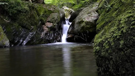 奥地利，施蒂里亚州，Teigitsch，景观，巴赫，性质