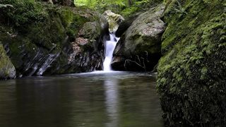 奥地利，施蒂里亚州，Teigitsch，景观，巴赫，性质