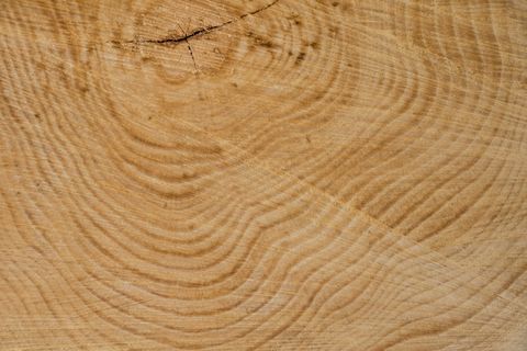 木材，结构，树，纹理，年轮，粮食