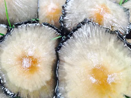 蘑菇，食物，吃，美味佳肴