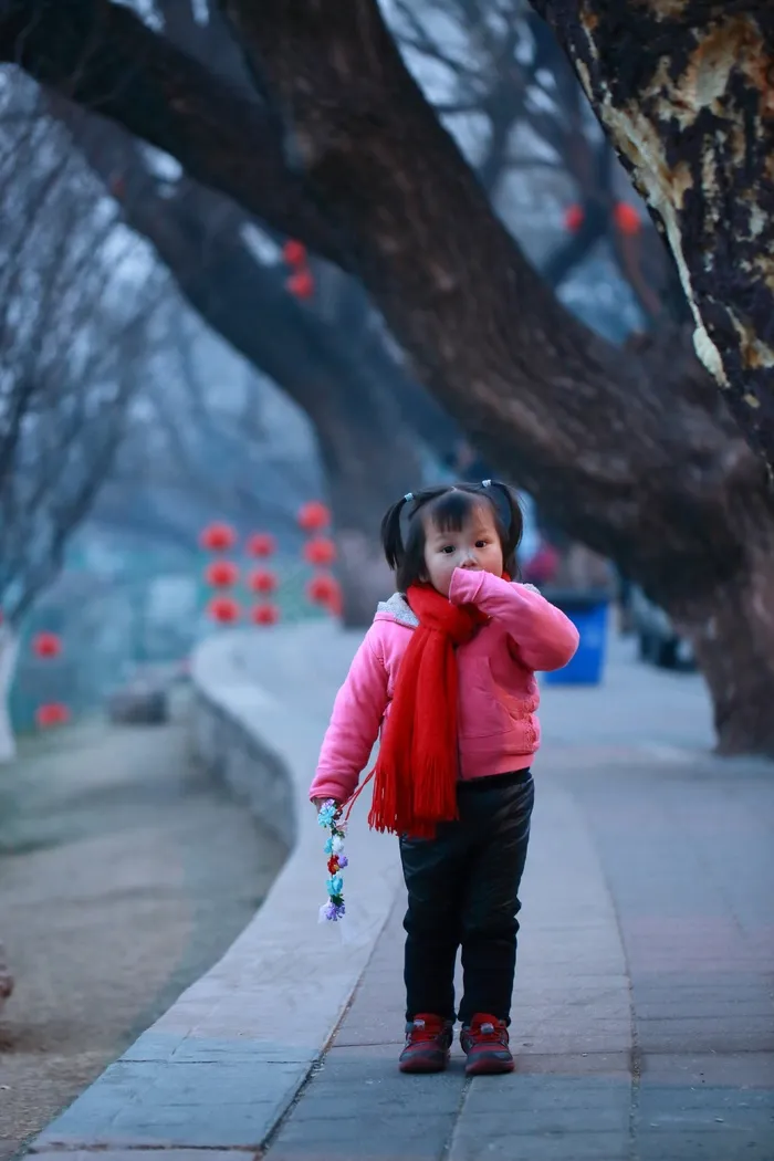 北京，女孩，农历新年，节日，新年