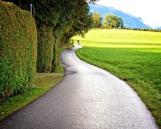 离，道路，车道，性质，绿色，草地，对冲，树木