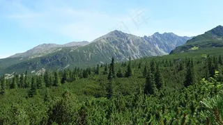 塔特拉，波兰，山，景观，自然
