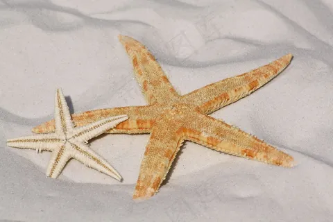 海星,沙,海滩,沧海,水,太阳晒,湖泊,博德纳尔 海星,沙,海滩,沧海,水,太阳晒,湖泊,博德纳尔
