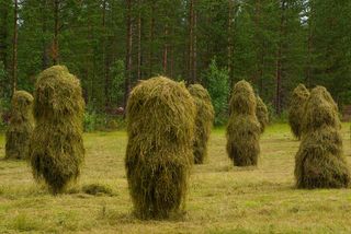 干草堆，繁殖，农场