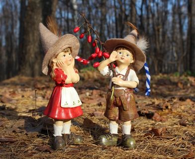 孩子们，女孩，男孩，森林，精灵，章，迷路