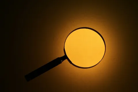 放大镜，暮光之城，搜索，调查员