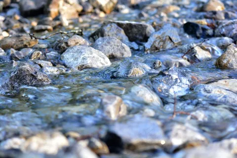 溪流,碎石,山,自然 溪流,碎石,山,自然