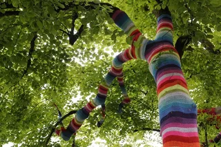 博登湖，树，海滨长廊，树木装饰，编织