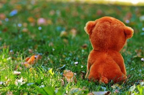 泰迪熊，填充动物，告别，小姐