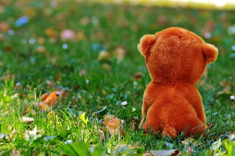 泰迪熊，填充动物，告别，小姐