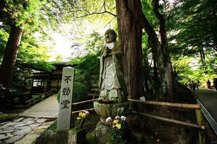 神秘，佛像，山，日本，自然
