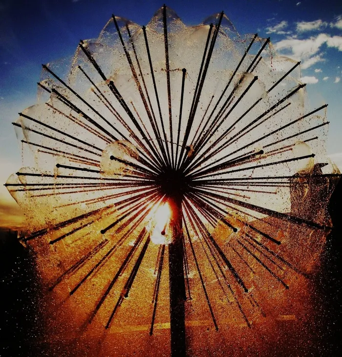 日落，自然，夏天，风景，天空，太阳