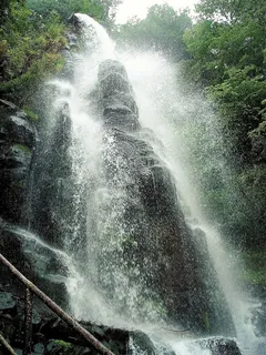 瀑布，森林，自然，风景，水上运动