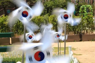 朱莉亚·罗伯茨，韩国，风车，旋转，风，公园