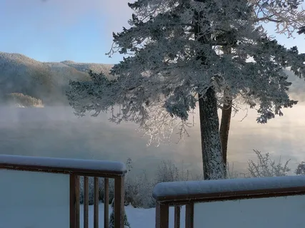 冬季，季节，冷淡，树木，性质，卡宁湖