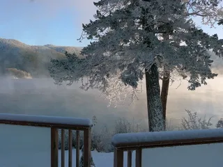 冬季，季节，冷淡，树木，性质，卡宁湖