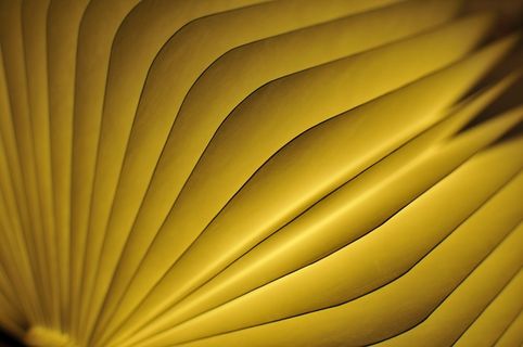 灯，灯，照明，黄色，装饰