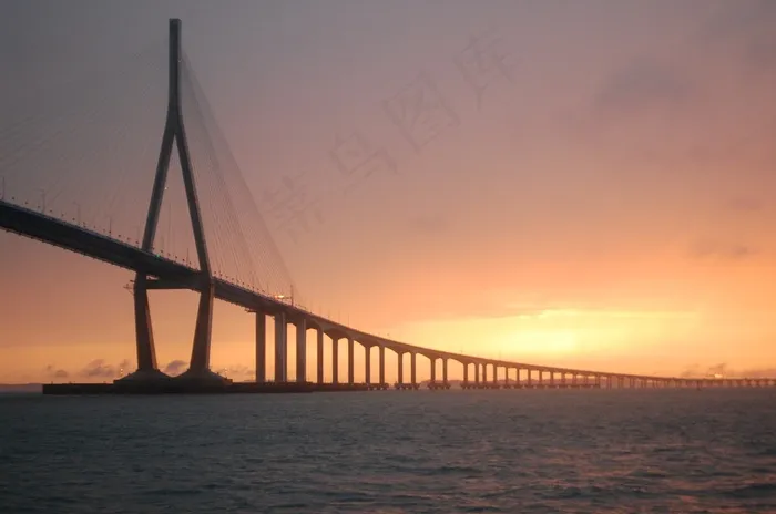 邮轮，海上，骆驼乔