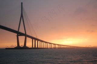 邮轮，海上，骆驼乔